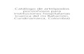 Catálogo de artrópodos ponzoñosos para instituciones … · 2017-11-10 · Los artrópodos o animales de patas articuladas (Phylum arthropoda) (del griego árthroni: “unión”,