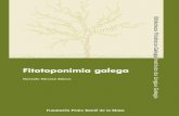 Fitotoponimia galega - kit.consellodacultura.galkit.consellodacultura.gal/web/uploads/adxuntos/... · O territorio estudado Os nomes que constitúen o corpus toponímico que serviu