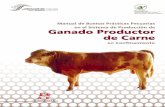 Manual de Buenas Pr⁄cticas Pecuarias€¦ · 8 Manual de Buenas Pr⁄cticas Pecuarias en el Sistema de ProducciŠn de Ganado Bovino Productor de Carne en Confinamiento Definiciones