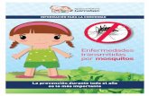 Enfermedades transmitidas por mosquitos dengue… · ¿Cómo se transmiten estas enfermedades? Por la picadura de un mosquito infectado luego de haber picado a una persona enferma.