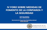 IV FORO SOBRE MEDIDAS DE FOMENTO DE LA CONFIANZA Y LA ... · En cumplimiento de los artículos III, IV y V, la SG/OEA recibió los informes anuales y notificaciones de Argentina,