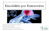Encefalitis por Enterovirus - Servicio de Pediatría · • Menos frecuentes pero más graves: miocarditis, pericarditis y sepsis en neonatos, a menudo de curso fatal Enterovirus