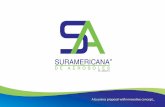 Presentación de PowerPoint Ingles.pdf · DE AERO SOLES Suramericana de Aerosoles C.A. We are a Venezuelan company founded in 2010, focused in aerosol research & development, also