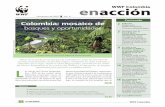 Contenido Colombia: mosaico deawsassets.panda.org/downloads/inthefield_6_es.pdfA través de WWF Colom-bia, WWF Camboya invitó a la Fundación Omacha para apoyar el Programa de Conservación