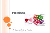 Proteínas - generacion-2015-b.weebly.comgeneracion-2015-b.weebly.com/uploads/1/1/6/8/11685890/protenas.… · Proteínas • Son el producto de la traducción de la información