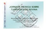 JORNADA TECNICA SOBRE TUBERCULOSIS BOVINA · 2017-02-01 · PREVALENCIIA DE LA TUBERCULOSIS BOVINA POR UNIDADES VETERINARIAS EN EL AÑO 2006 PREVALENCIA 0,00 0,01 - 1, 1,01 - 3, 0