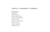 TEMA 3.6.- COENZIMAS Y VITAMINAS.umh1163.edu.umh.es/.../2018/02/Tema-3.6.-Vitaminas... · - Vitaminas liposolubles (A, D, E, K) - Vitaminas hidrosolubles (coenzimas) - Naturaleza