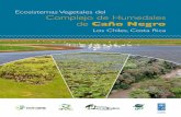 Ecosistemas Vegetales del Complejo de Humedales …...de los ecosistemas de humedales protegidos de importancia internacional “(Proyecto Humedales del SINAC-PNUD-GEF) Proyecto PIMS