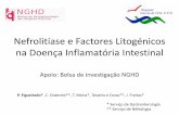 Nefrolitíase e Factores Litogénicos na Doença Inflamatória ... · Doença inflamatória intestinal Envolvimento renal e urológico em 4 a 23%1 Litíase renal : prevalência de
