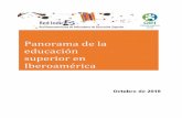 Panorama de la educación superior en Iberoamérica · 2019-08-16 · 1 Panorama de la educación superior en Iberoamérica a través de los indicadores de la Red INDICES Ana García