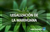 LEGALIZACIÓN DE LA MARIHUANA · 2019-04-26 · El 72% de los chilenos considera que la marihuana tiene un valor medicinal y de ellos, el 76% cree que debiera ser legal para ese uso.