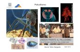 Paludismo. Subir presentación [Modo de compatibilidad] · Paludismo o Malaria, causado por parásitos protozoarios del género Plasmodium, transmitido al hombretransmitido al hombre