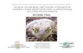 Presentaci.n informe final...Atlas de Anfibios y Reptiles de la Provincia de Cáceres y Zonas Importantes para la Herpetofauna en Badajoz TOTAL 267 1.950 Natrix natrix 11 4,12 12 0,62