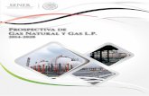 Prospectiva de Gas Natural y Gas L.P. · Las actividades de la industria de hidrocarburos han tenido una gran importancia para el país, no sólo desde el punto de vista económico