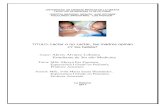 Ficheros del Portal de Infomed - TITULO: Lactar o no Lactar, las …files.sld.cu/enfermeria-pediatria/files/2011/03/lactar-o... · 2011-03-21 · de los oídos, diarrea, problemas