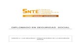 DIPLOMADO EN SEGURIDAD SOCIAL - OPTISNTEoptisnte.mx/wp-content/uploads/2014/04/Los-Seguros... · Diplomado en Seguridad Social Módulo 1: Panorama General de la Seguridad Social 6