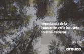 Importancia de la Innovación en la industria forestal …...2018/08/01  · El Sector Forestal es clave para Chile… 120 mil Propietarios forestales 33,8 millones de hectáreas (44%