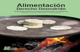 bvssan.incap.intbvssan.incap.int/local/file/PubNut-Perú/texcom/nutricion/ciidh.pdf · Aplicación del Derecho a la Alimentación en Guatemala 18 b. Sistema Nacional de Seguridad