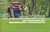 BAMBÚ ECUADOR | Punto de encuentro entre los sectores … · 2018-01-17 · el manejo de guaduales naturales Lider Flores, Comuna Olón . La problemática de ent rural ; pzst ÐI