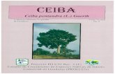 Gaerth (L.) Ceiba pentandra Colecci6n Maderas …...CEIBA Ceiba pentandra (L.) , Gaerth Colecci6n Maderas Tropicales de Honduras Proyecto PD 8/92 Rev . 2 (F) Ficha Tecnica No. 6 Estudio"de