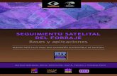 SEGUIMIENTO SATELITAL - Pandaawsassets.wwfar.panda.org/downloads/manual_seguimiento... · 2012-09-27 · SEGUIMIENTO SATELITAL DEL FORRAJE Bases y aplicaciones Buenas Prácticas Para