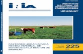 INSTITUTO NACIONAL DE INVESTIGACIÓN AGROPECUARIAºblicos/INIA Tacuarembó/2017/24... · 2017-11-28 · INSTITUTO NACIONAL DE INVESTIGACIÓN AGROPECUARIA URUGUAY 225 INIA SERIE TÉCNICA