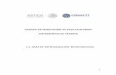 AGENDA DE INNOVACIÓN DE BAJA CALIFORNIA DOCUMENTOS …¡rea-Biotecnologí… · 6.2 Biotecnología Médica ..... 46 7 Caracterización de proyectos prioritarios y plan de proyectos