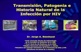 Transmisión, Patogenia e Historia Natural de la …...Historia Natural de la Infección por HIV Infección por VIH Historia natural Infección caracterizada por dos fases sintomáticas,