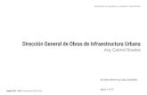 Dirección General de Obras de Infraestructura Urbana · Dirección General de Obras de Infraestructura Urbana Arq. Gabriel Rosales Gestión 2016 - 2019 ... donde el plan de gestión