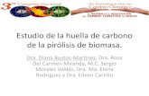 Estudio de la huella de carbono de la pirólisis de biomasa.€¦ · biomasa para establecer un precedente de la sustentabilidad del proceso mediante la generación de dicho indicador.