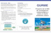 Información: Web Contactos Grupo Consultivo Científico GURMEmce2.org/wmogurme/images/brochures/gurme-s1.pdf · Diagrama de flujo de la tecnología de predicción numérica de la