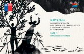 MAPS Chile...Para el Gobierno de Chile, el contar con el proceso MAPS entregaba una gran ven-taja ya que era la mejor evidencia que se tenía para tomar decisiones según el mandato
