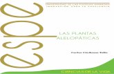 LAS PLANTAS ALELOPÁTICASrepositorio.espe.edu.ec/jspui/bitstream/21000/9218/3/Las...las propiedades alelopáticas que generan las plantas y las características particulares de algunas