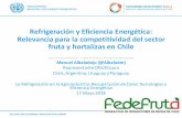 Refrigeración y Eficiencia Energética: Relevancia para la ...€¦ · Chile: candidato ideal para tecnologías CO2. 12 Sector de equipos de refrigeración: tendencias globales.