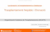 La donació i el trasplantament a Catalunya ·   Sessió ATHC a Hospital de Bellvitge 18,1 pmp 431 8,3 pmp 4.892 (2015) (2016) 43,4 pmp