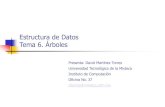 Estructura de Datos Tema 6. Árbolesdtorres/cursos/estructuradedatos/Tema6-Arboles.pdf · Implementación de árboles binarios . Eliminación en un árbol de búsqueda binaria Casos