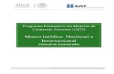 Marco Jurídico Nacional e Internacionallic8inide.weebly.com/.../8/...juridico_del_c_e__1_.pdf · Aduanero Mexicano, para comprender los distintos ámbitos de validez, a fin de entender