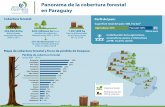 Panorama de la cobertura forestal en Paraguay · 2020-07-24 · Mapa de cobertura forestal y focos de pérdida de bosques: Panorama de la cobertura forestal en Paraguay 332.932,52