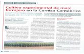 Impresión de fax de página completa · DOSSIER CULTIVOS FORRAJEROS Cultivo experimental de maíz forrajero en la Cornisa Cantábrica La superficie de maíz forrajero cultivado en