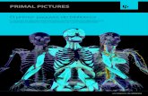 El primer paquete de biblioteca - stage.anatomy.tvstage.anatomy.tv/anatomytv/docs/Premier_Package... · en 3D y animaciones precisas. Este producto interactivo presenta una gran biblioteca