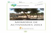 MEMORIA DE ACTIVIDADES 2013 - Egemasaegemasa.es/wp-content/uploads/2014/12/memoria_2013.pdf · frecuencia de los servicios prestados. Si bien es cierto que en 2012 y con motivo de