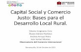 Capital Social y Comercio Justo: Bases para el Desarrollo ... · Plan de Desarrollo Departamental (2012-2015): escasa orientación a mercados regionales o externos del productor agropecuario,