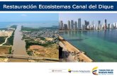 Restauración Ecosistemas Canal del Dique...Restauración de los ecosistemas PNNCR y San Bernardo 8. Restauración de rondas de ciénagas, caños y Canal del Dique 9. Aseguramiento