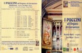 img031 - corsanicomusica.it · 1 PUCCINI all'Organo di Corsanico ne è il terzo membro della dinastia mu- sicale che da Giacomo senior (1712- 1781) conduce, attraverso Antonio