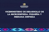 VICEMINISTERIO DE DESARROLLO DE LA ......Universidad de San Carlos de Guatemala, Jalapa; Universidad Da Vinci, Huehuetenango. Así como con la Asociación Redes de Emprendimiento para