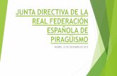 JUNTA DIRECTIVA DE LA REAL FEDERACIÓN ESPAÑOLA DE … · 2020-01-30 · 1.- Lectura y aprobación si procede de las actas de las consultas y comunicaciones a Junta Directiva realizadas
