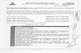 Instituto Electoral del Estado - Puebla · 2016-10-26 · Presentación de IOS flujoramas del procedimiento sancionador ordinario, y del especial, para la tramitación y sustanciación