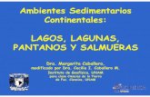 Ambientes Sedimentarios Continentales: LAGOS, LAGUNAS ...usuarios.geofisica.unam.mx/cecilia/CT-SeEs/23AmbSedLac.pdf · Lagunas costeras (coastal lagoon): Ambientes costeros de transición