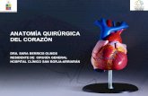 Anatomía Quirúrgica del Corazón · para la exposición del lado izquierdo de la válvula mitral. - Trauma torácico. • Ventajas: - Posibilidad de ampliación contralateral, cervical