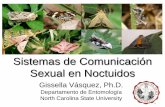 Sistemas de Comunicación Sexual en Noctuidosipeh.com.pe/presentaciones/12-de-noviembre/21vasquez...Sistemas de Comunicación Sexual en Noctuidos • Noctuidae: 25,000 especies •